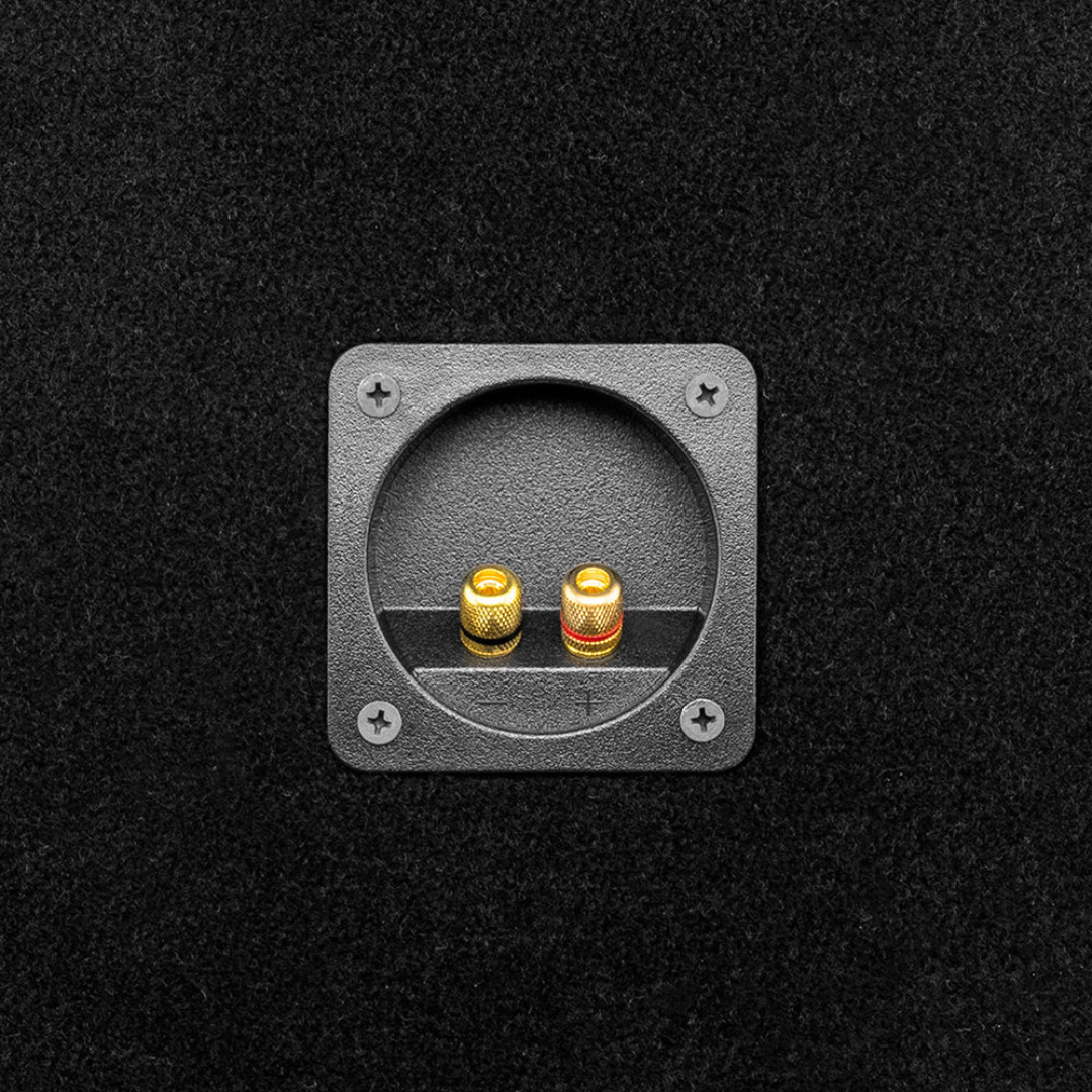 DS18 PANCADAO 2x PRO-1.5KP10.4 10" Mid-Bass Loudspeakers with Ported Enclosure - 3000 Watts Rms 2x 4-ohm