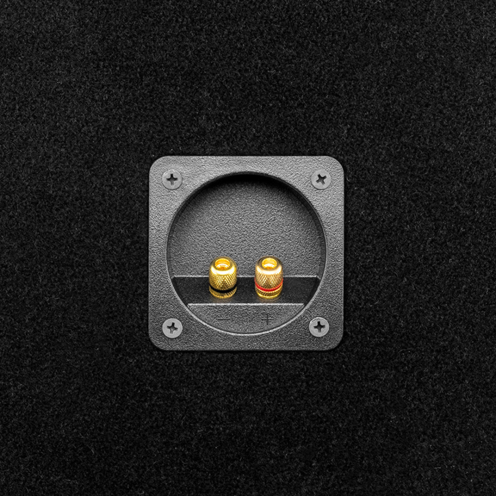DS18 PANCADAO 2x PRO-1.5KP10.4 10" Mid-Bass Loudspeakers with Ported Enclosure - 3000 Watts Rms 2x 4-ohm