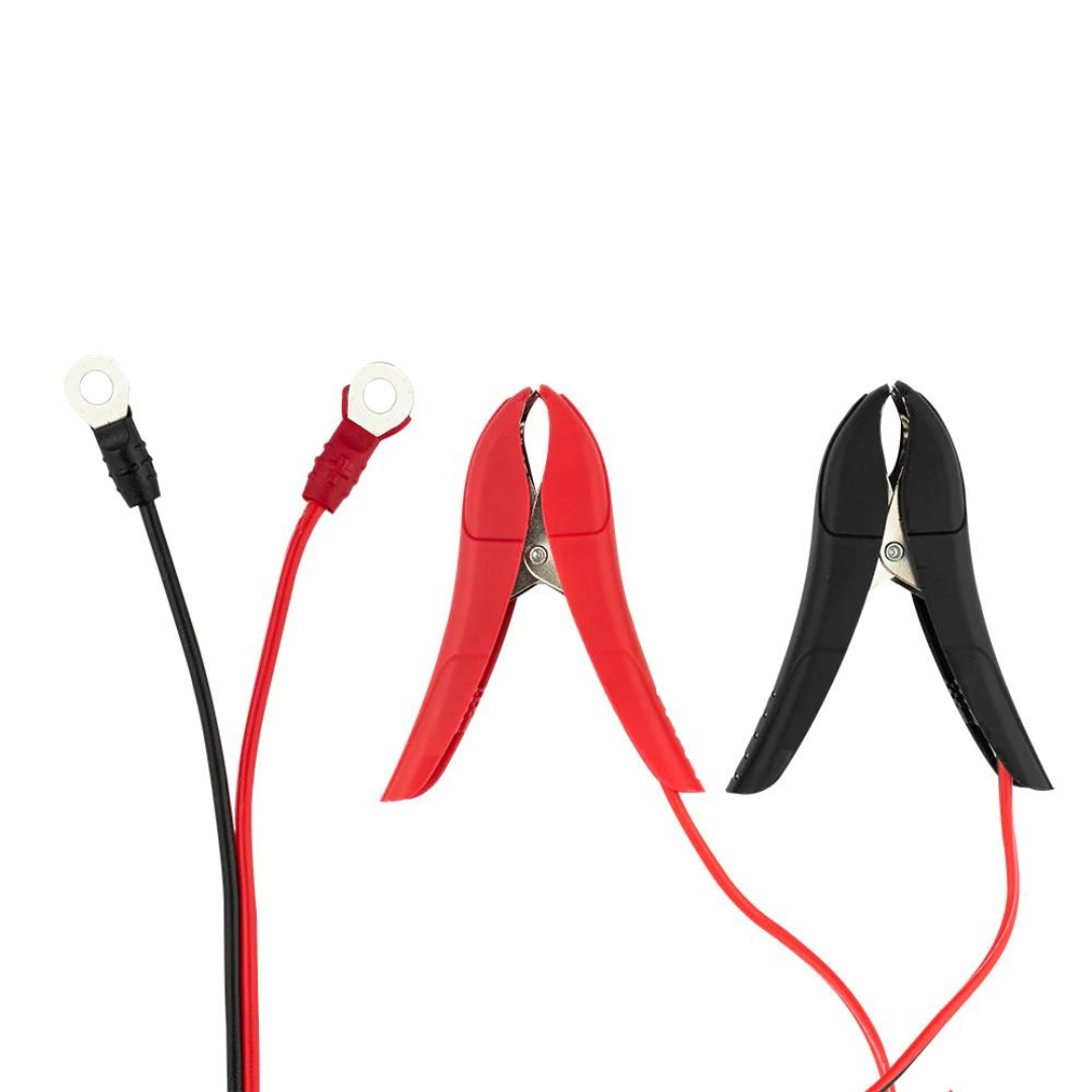 DS18 INF-C1.5AX4 6 o 12 voltios Smart 4x 1.5A Mantenedor y cargador de batería de automóvil - Compatible con plomo-ácido, húmedo, gel, AGM y litio (LiFePO4)