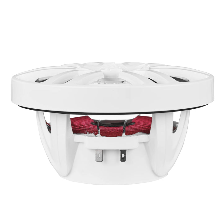 DS18 NXL-6 Altavoces marinos coaxiales blancos de 6,5" con luces LED RGB - 100 vatios Rms 4 ohmios