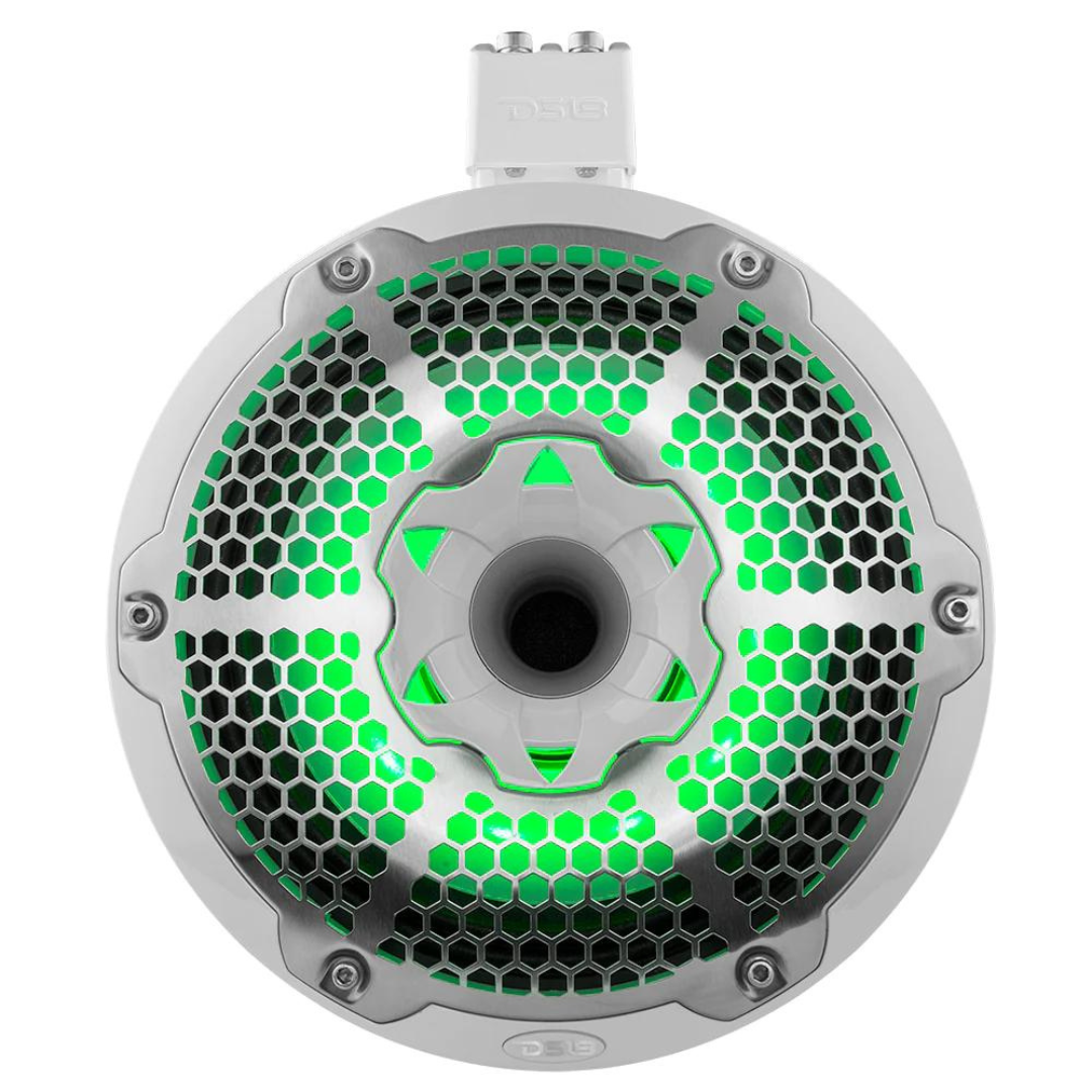 DS18 NXL-X10TPNEO Altavoces tipo torre marinos de neodimio de 10" con radiadores pasivos incorporados - 300 vatios Rms 4 ohmios