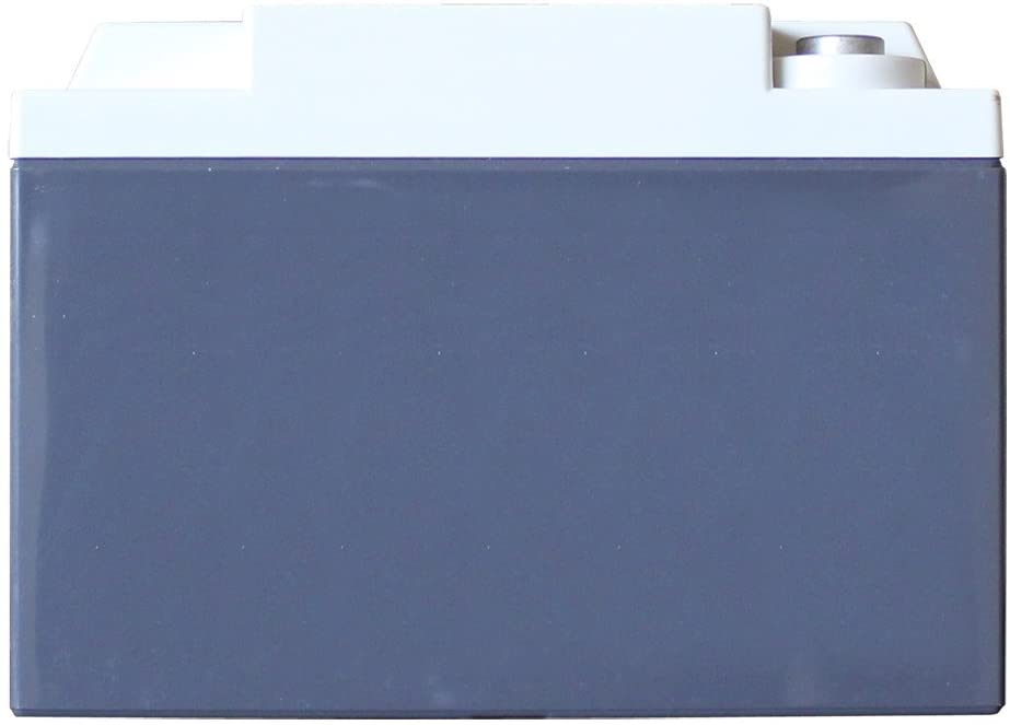XS Power D925 12 Volt AGM Car Audio Battery - 1000 Watts Rms | 32Ah