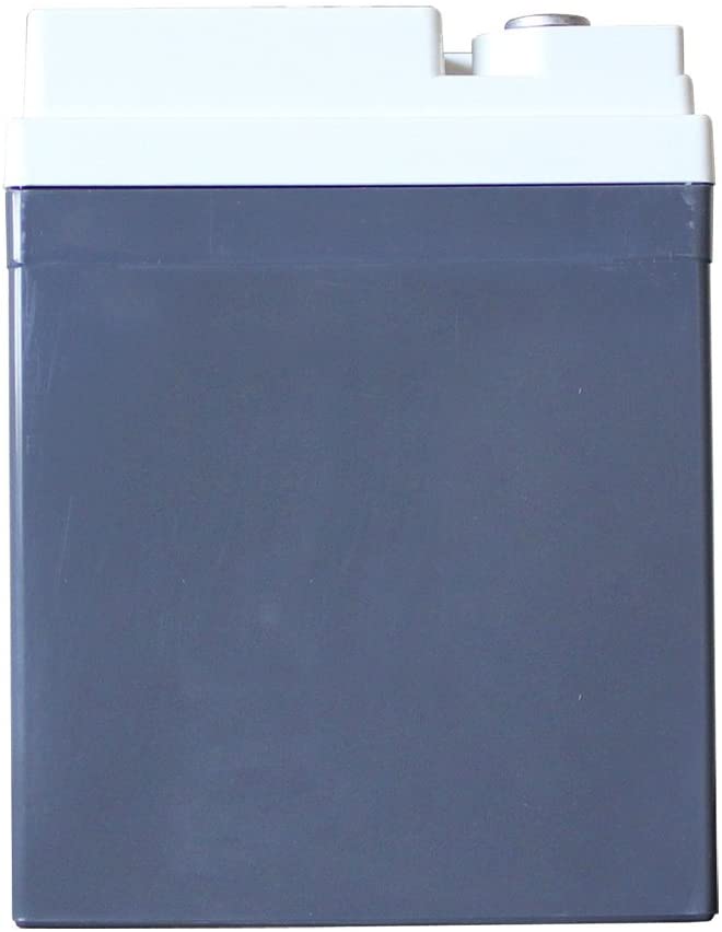 XS Power D975 12 Volt AGM Car Audio Battery - 1000 Watts Rms | 43Ah