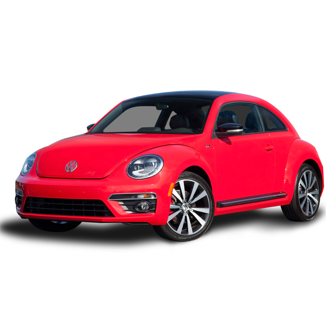 Beetle