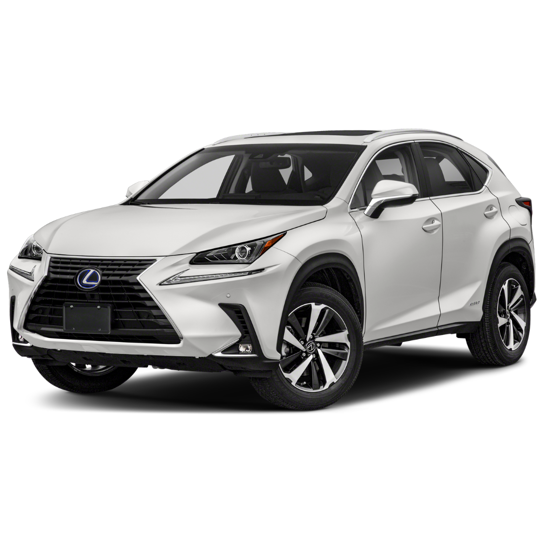 NX 300H