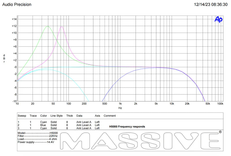 Massive Audio H5000 Mono Full-Range Amplifier - 5000 Watts Rms @ 1-ohm