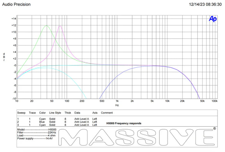 Massive Audio H5000 Mono Full-Range Amplifier - 5000 Watts Rms @ 1-ohm