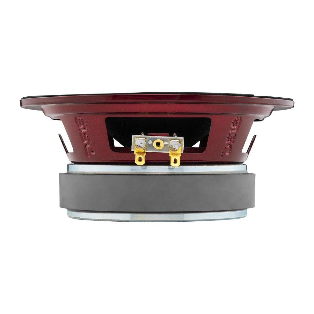 DS18 PRO-X6.4BMRGB 6.5" Mid-Range Loudspeaker - 250 Watts Rms 4-ohm